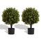 Artificial Ball Topiary Tree Decoration In Pot (Set of 2) - Green