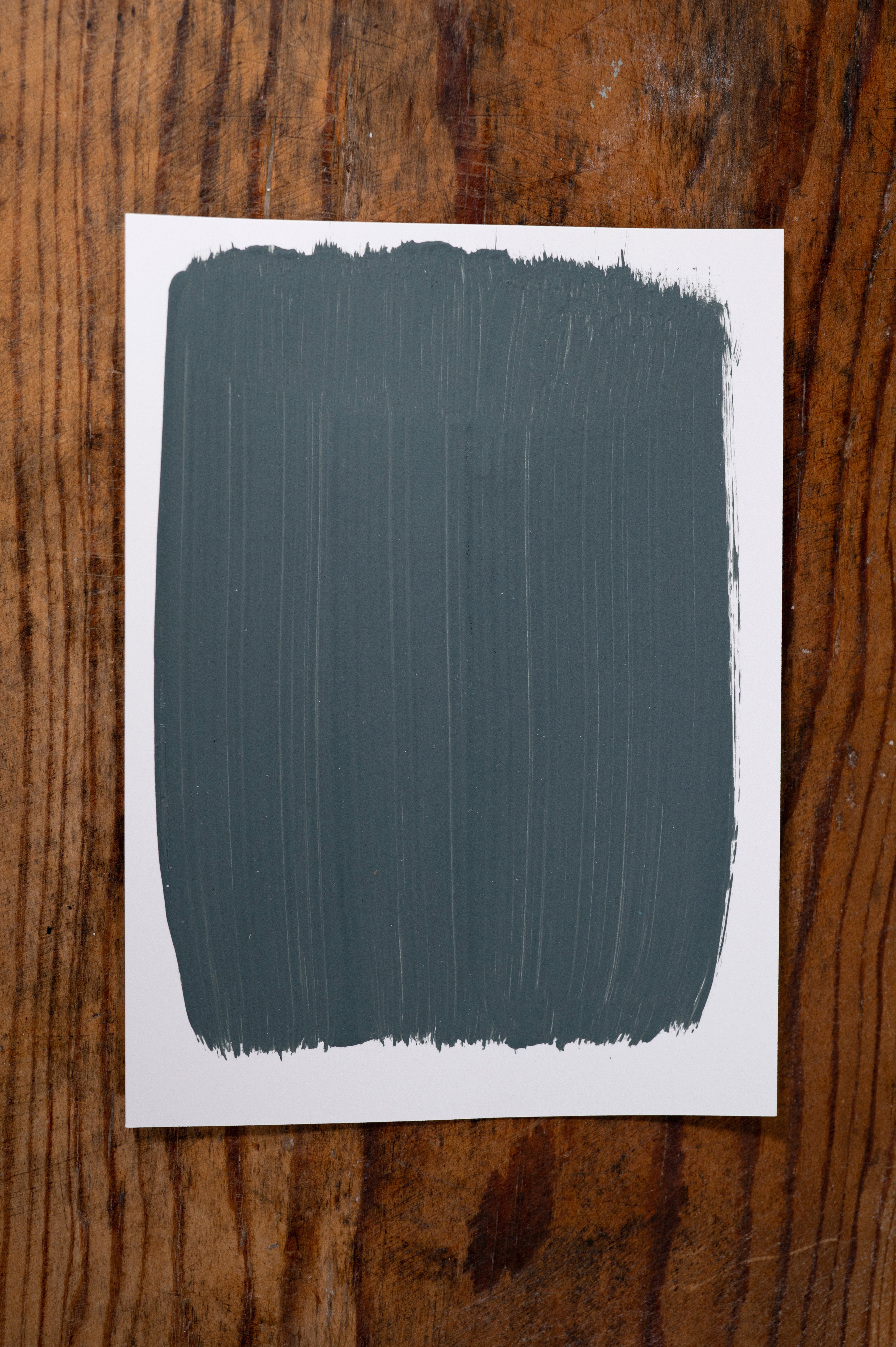 Misty Forest  - Manor Borne Wall Paint