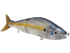 B Venom 8"