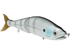 B Venom 8"