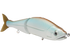 B Venom 8"