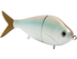 B Viper 6"