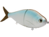 B Viper 8"