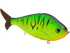 B Viper 8"