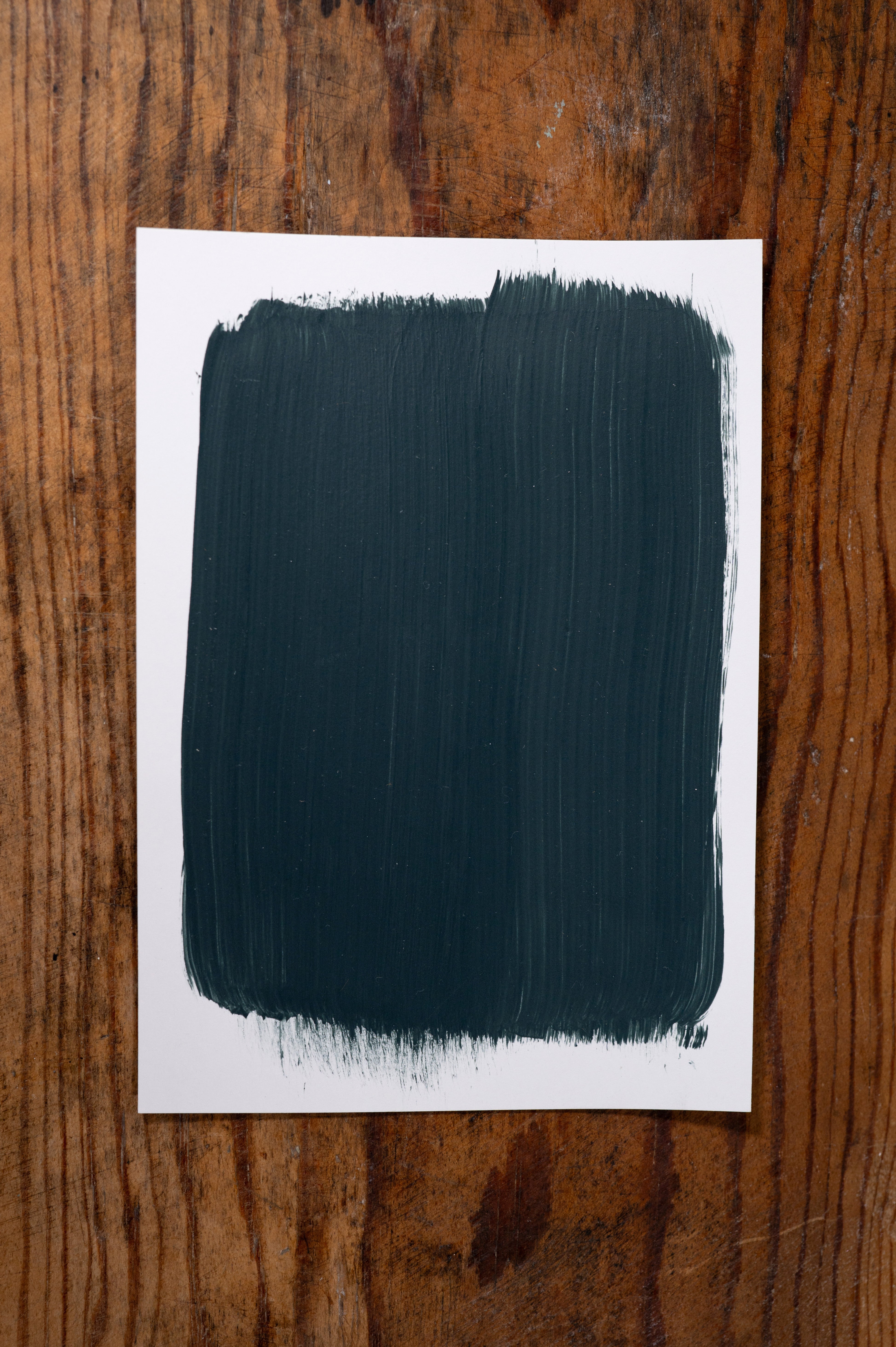 Take it all in - Manor Borne Wall Paint