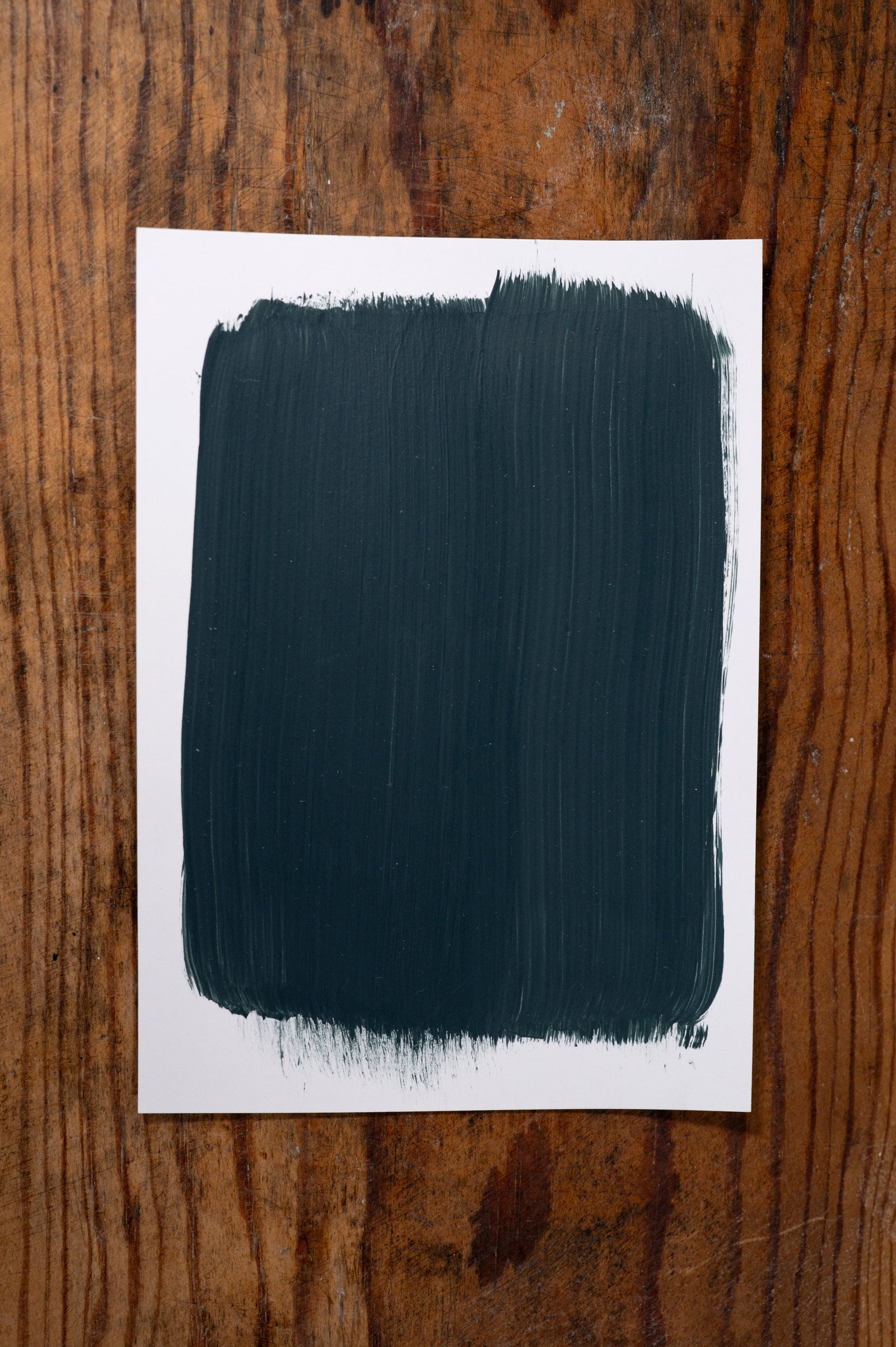 Take it all in - Manor Borne Wall Paint