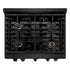 ZLINE 30"Paramount Dual Fuel Range Black Stainless Steel, SDRB-30