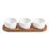 Ceramic Condiment Set on Acacia Wood Base