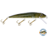 Squeaky Pete
