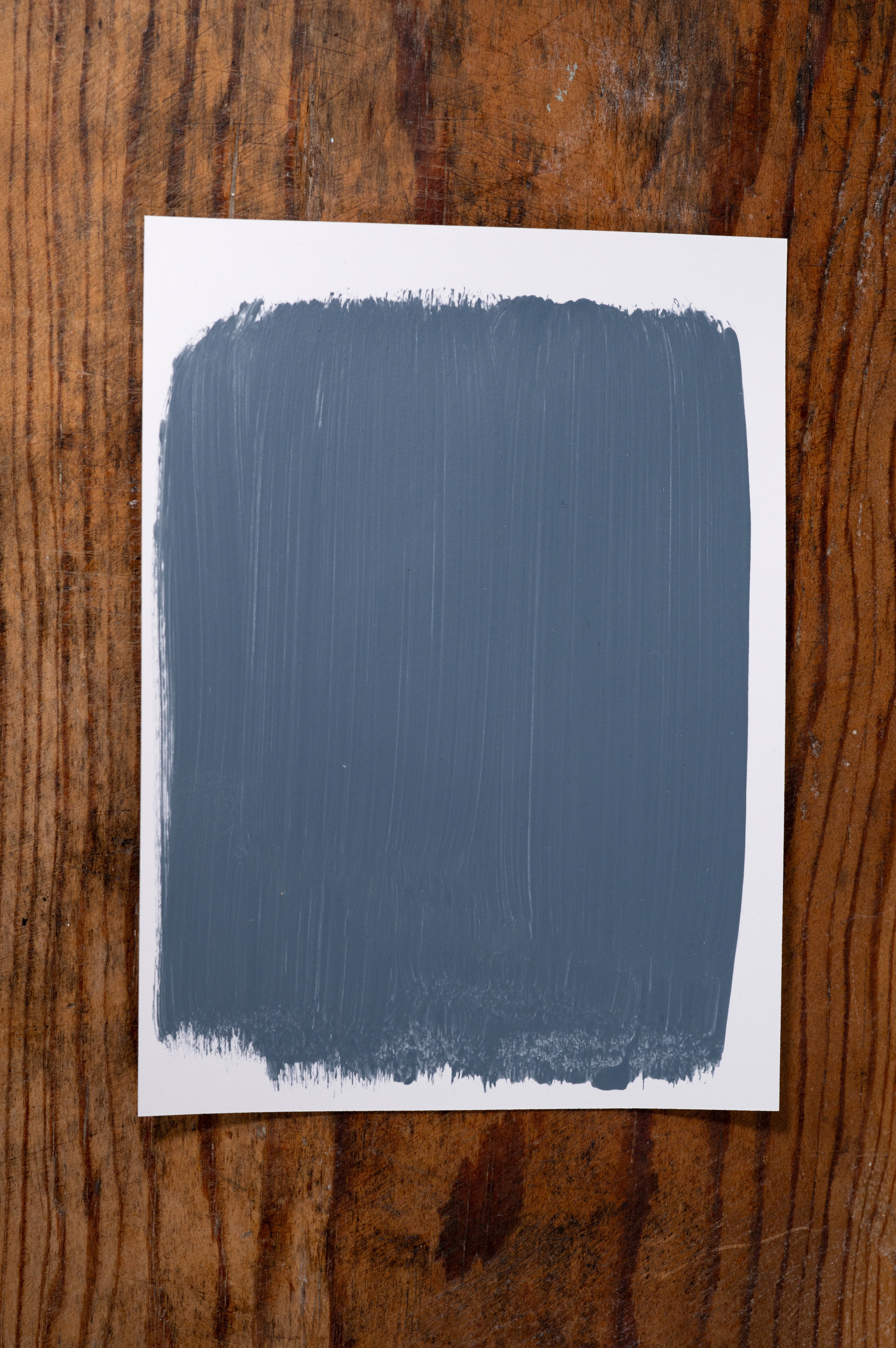 Color Me Pretty - Manor Borne Wall Paint