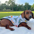 Cabana Club Dog Coat