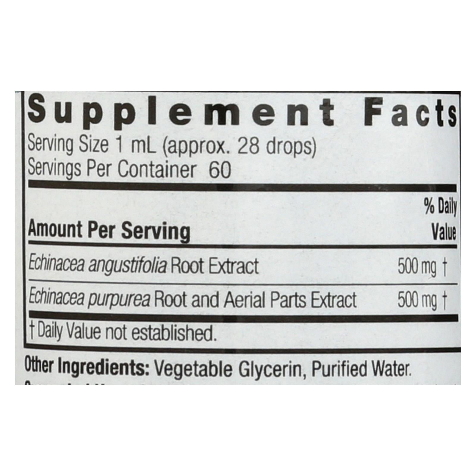 Nature's Answer Echinacea Extract Alcohol-Free, 2 Fl Oz