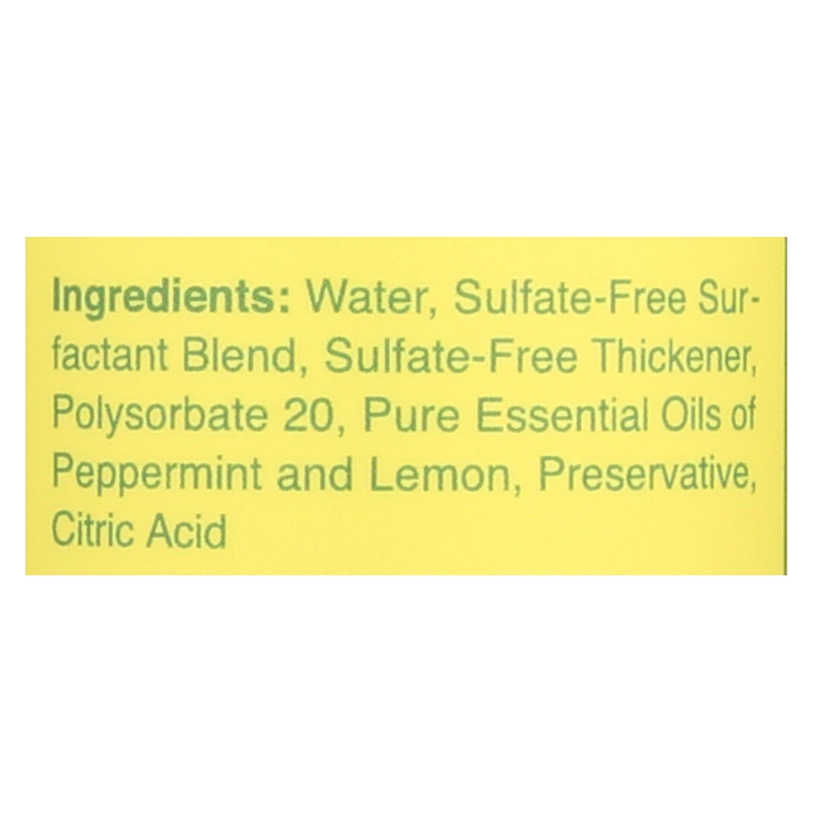 Rebel Green Dish Soap - Peppermint and Lemon 16 Fl Oz (Pack of 4)