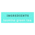 Stash Tea Jasmine Blossom (Pack of 6 - 20 Count)