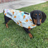 Dachshunds & Daisies Dog Coat