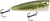 Walk N Pop 67