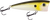 Walk N Pop 67