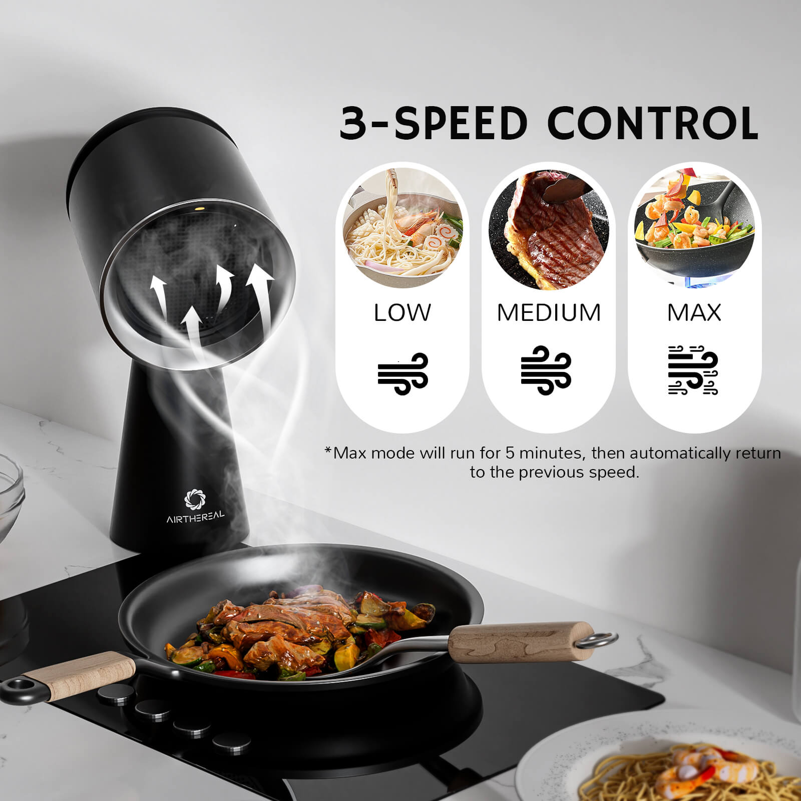 RH180 Portable Desktop Range Hood - Tundra Globe