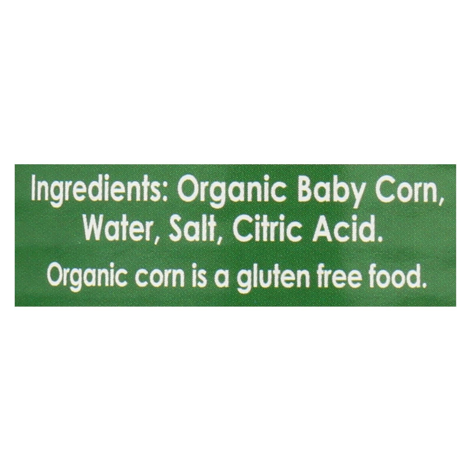 Native Forest Organic Cut Baby Corn (6  Packs of 14 Oz.)