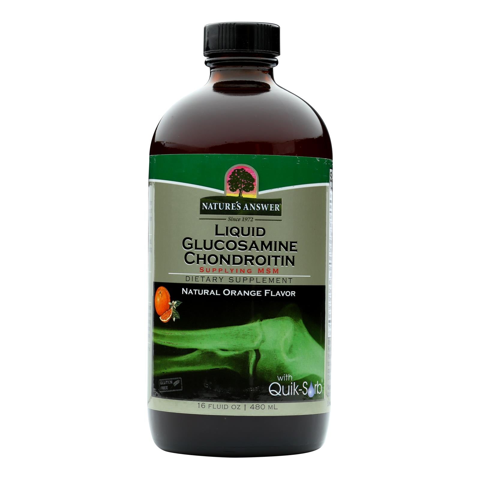 Nature's Answer Glucosamine & Chondroitin with MSM for Joint Relief - 16 oz