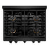 ZLINE 30"Paramount Dual Fuel Range Black Stainless Steel, Brass Burners SDRB-BR-30