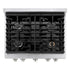 ZLINE 30"Paramount Dual Fuel Range Stainless Steel, SDR30