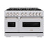 ZLINE 48" Dual Fuel Range, Gas Cooktop, Electric Convection Oven Stainless Steel, CDR-BR-48