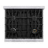 ZLINE 30" Select Gas Range Convection Gas Oven Stainless Steel HGR30