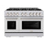 ZLINE 48" Select Gas Range Convection Gas Oven Stainless Steel HGR48