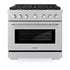ZLINE 36"Paramount Dual Fuel Range DuraSnow® Brass Burners SDRS-BR-36