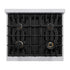 ZLINE 30" Select Gas Range Convection Gas Oven Stainless Steel Brass Burners HGR-BR-30