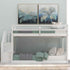 Twin Over Twin Floor Bunk Bed, Ladder With Storage