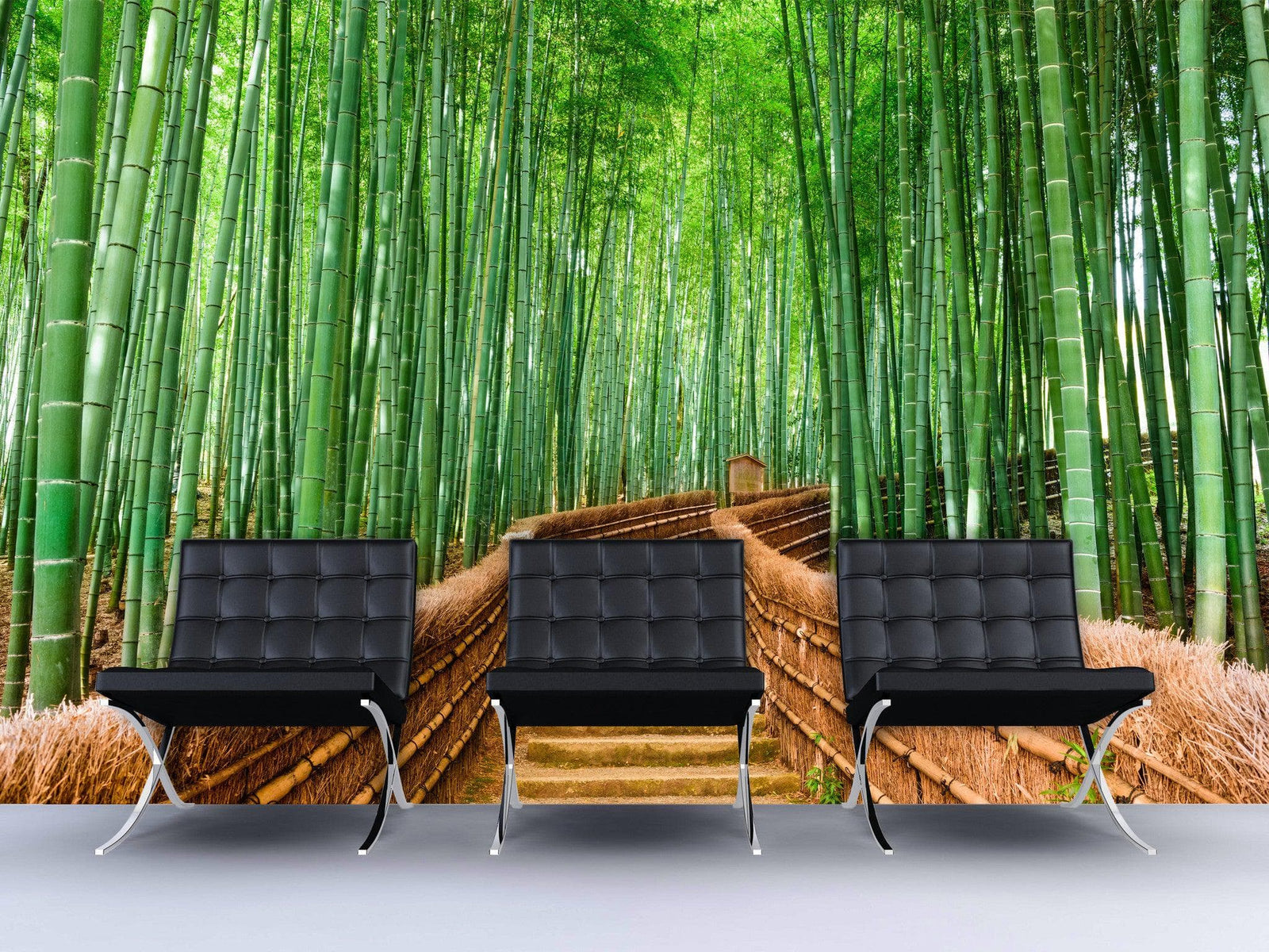 Japanese Bamboo Forest Arashiyama Woods Wall Mural #6043