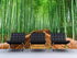 Japanese Bamboo Forest Arashiyama Woods Wall Mural #6043