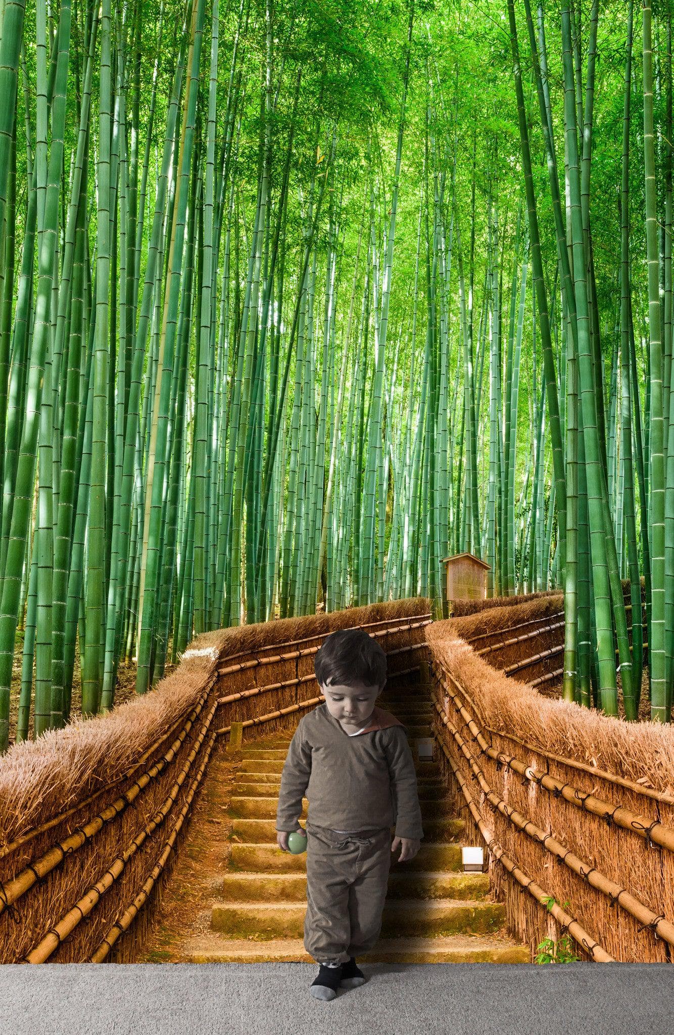 Japanese Bamboo Forest Arashiyama Woods Wall Mural #6043