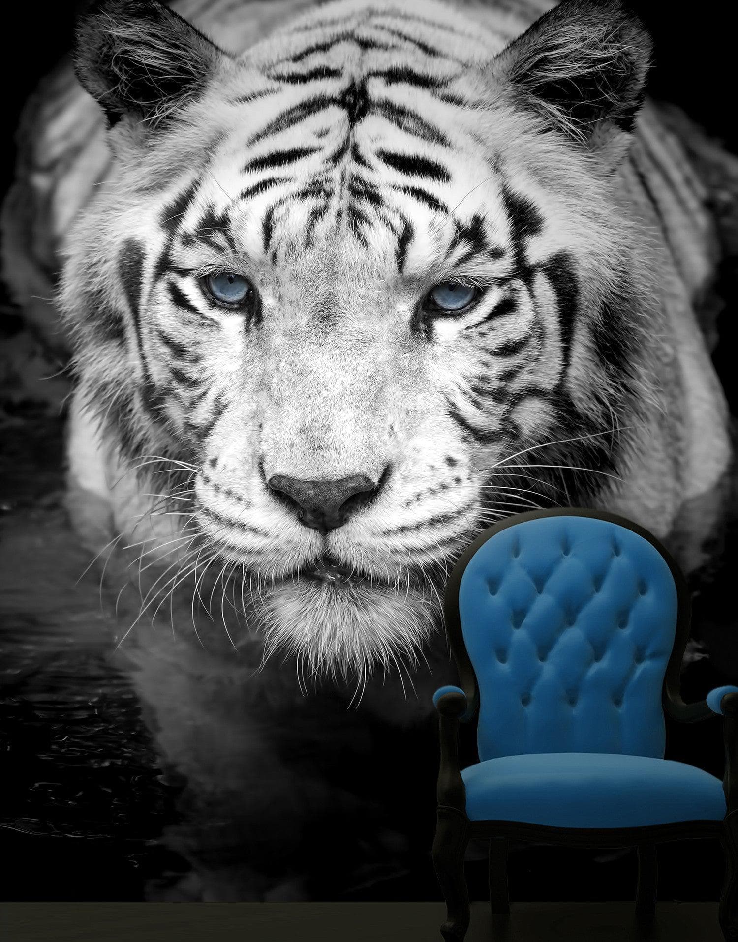 Tiger Stare Down Large Mural (Black and White) #6045