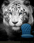 Tiger Stare Down Large Mural (Black and White) #6045