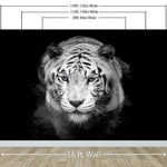 Tiger Stare Down Large Mural (Black and White) #6045