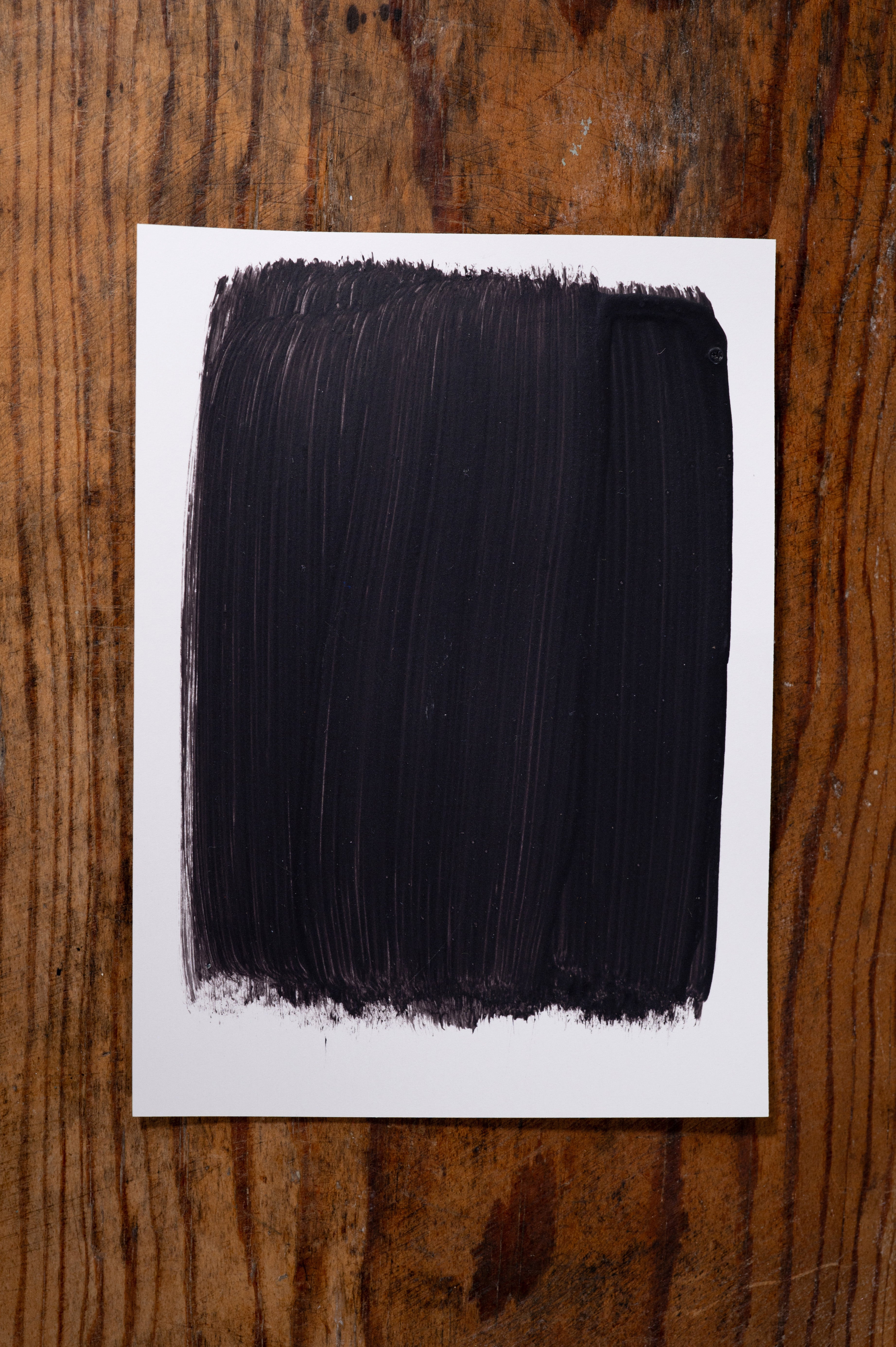 Nantucket Nights - Manor Borne Wall Paint