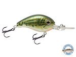 Dive Master Jr 8