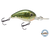 Dive Master Jr 8