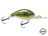 Dive Master Jr 8