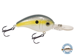 Dive Master Jr 8