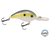 Dive Master Jr 8