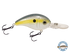 Dive Master Jr 8