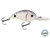 Dive Master Jr 8
