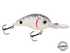 Dive Master Jr 8