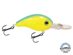 Dive Master Jr 8