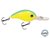 Dive Master Jr 8