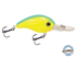 Dive Master Jr 8